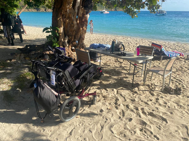 ICBW Group Transportation pet friendly island tours