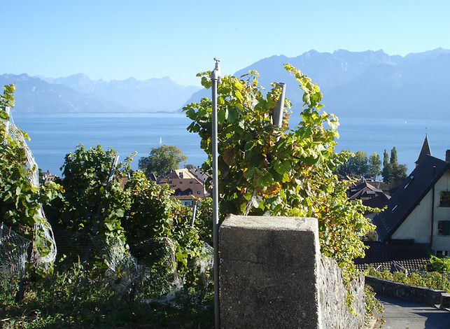 ichinbewegung / Bewegung / Eurythmie / Kurse / Gruppen- und Individualkurse /bewegtes Coaching/ Gesundheitsförderung und Prävention / Gesundheit / Gesund durch PENTA-EURYTHMIE / Am Kraftquell Wort mit LOGOS-EURYTHMIE / SPHAIRA-EURYTHMIE in und mit der Natur / Hausbesuche / Raum Basel-Birseck / Arlesheim / Elke Irina Erik-Wild