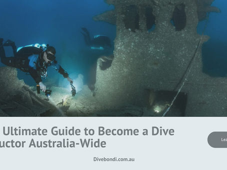 Your Ultimate Guide to Become a Dive Instructor Australia-Wide