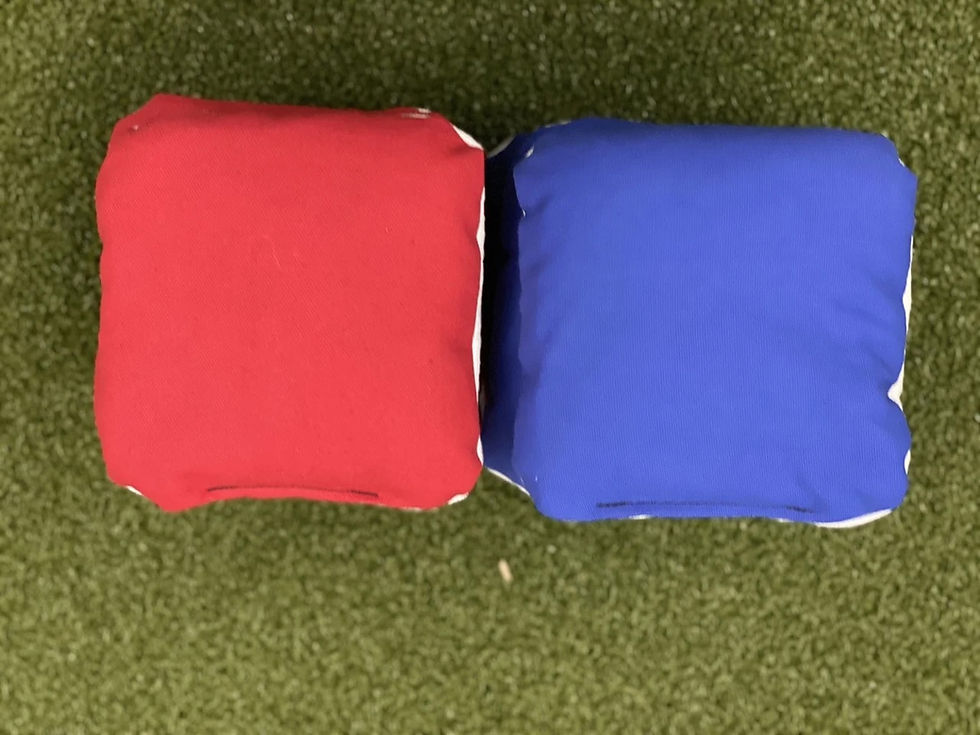 Thumbnail: Pro Cornhole Bags (8) - All Weather - Canvas and Suede