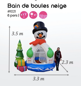 #1021 bain de boules neige.png