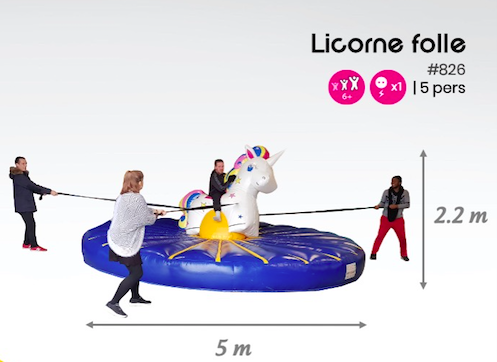 #826 licorne folle
