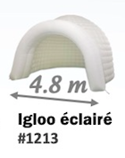 #1213 igloo éclairé