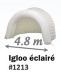 #1213 igloo éclairé.png