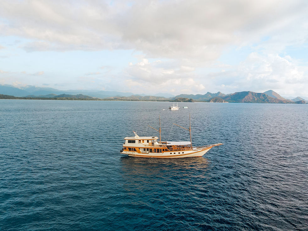 DJI_0030.jpg