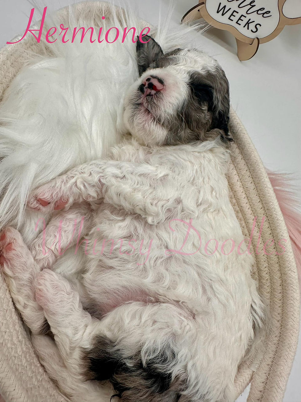 434316647_10229544107820229_5825773123353841758_n