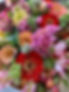 IMG_0971.jpeg