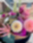 IMG_1165.jpeg