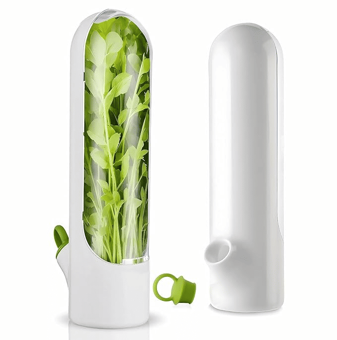 Perfect Pricee Fresh Herb Keeper Airtight Storage Container Small 250ml