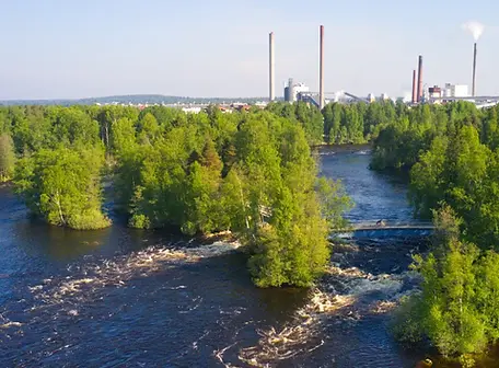 ammakoski.webp
