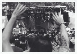 Manic Focus - Fiber Based