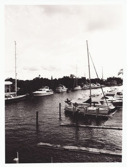 Sepia Print - Fiber Based