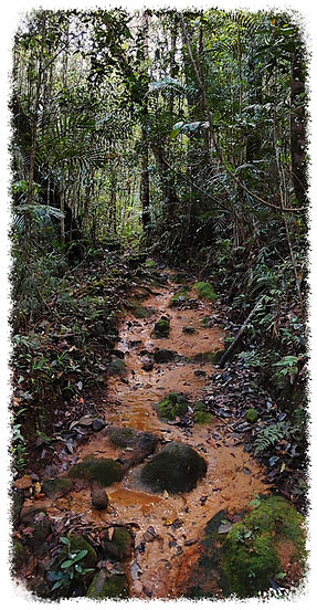 IMG_20230623_164019-fotor-20230822214857.jpg
