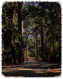 IMG_20250124_134912-fotor-2025012516530.jpg