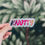 Thumbnail: Knotty Sticker - 4"x1.5"