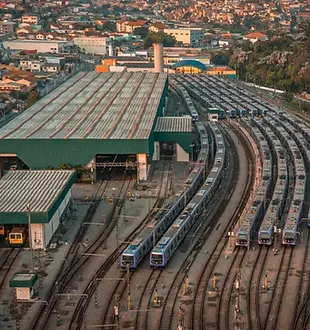 metrosp-raphaelcomitre-viatrolebus10-990x660-1.webp