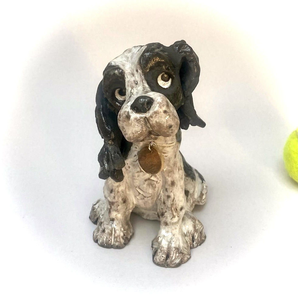 spaniel, springer_edited