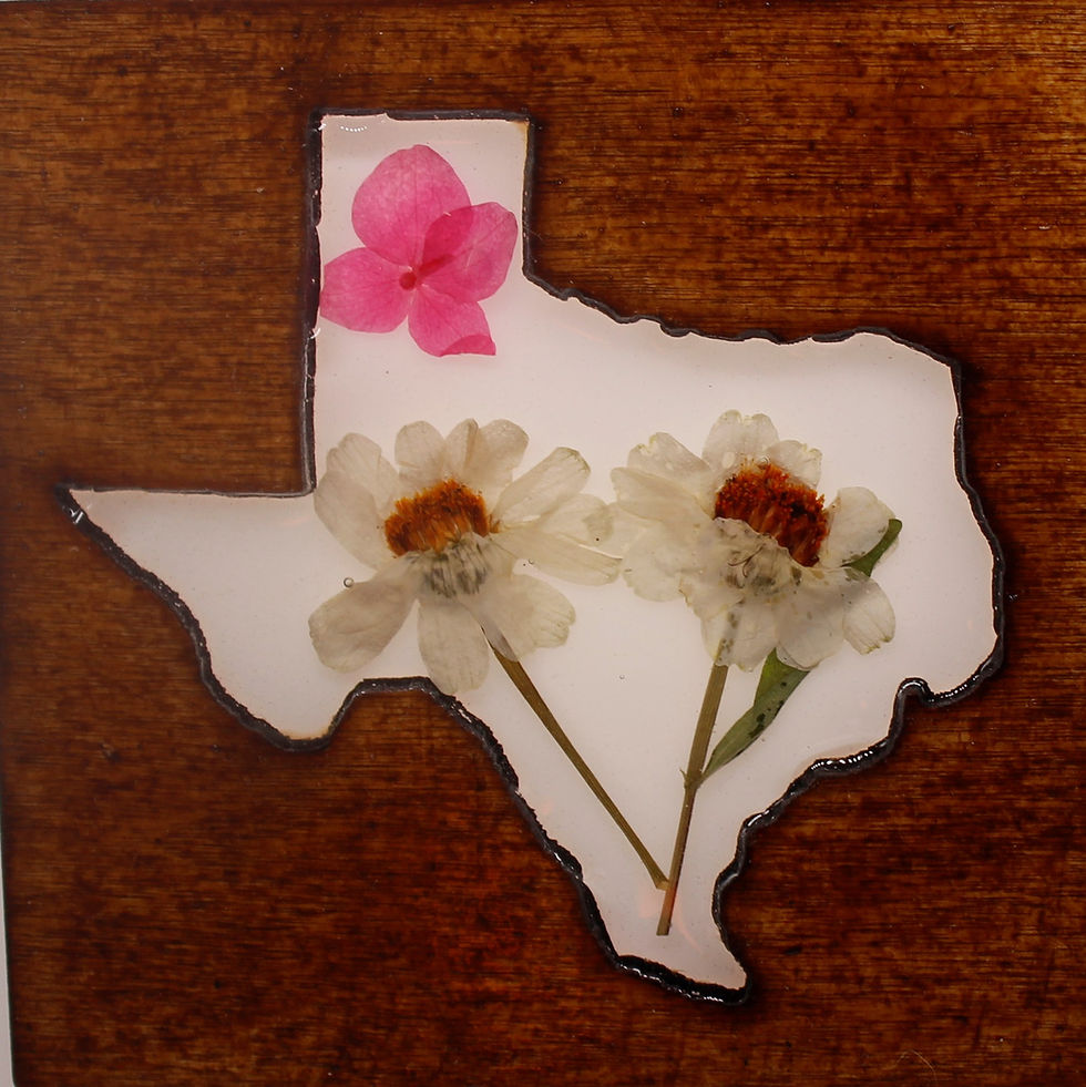 Thumbnail: Wood Texas Decorative LED Night Light With Pressed, Natural Flowers