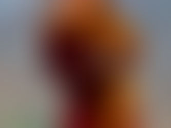 Experience is like a mist in the morning