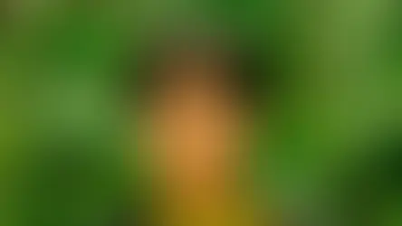 Meet Karla Contreras, Electrochemistry Testing Engineer