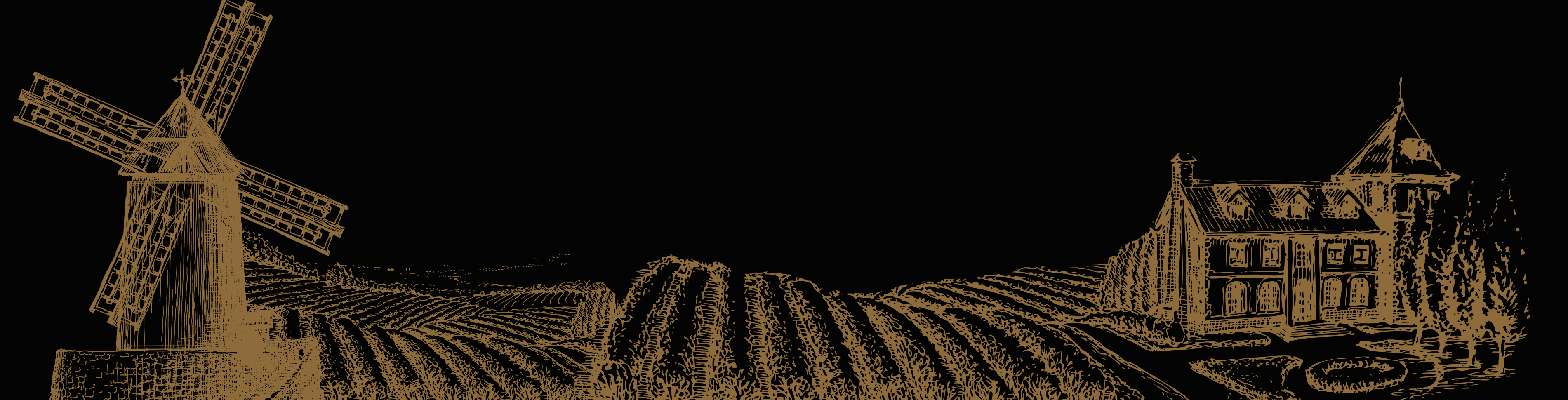 bandeau-fond.gif