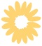 flor1.png