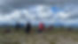 IMG_0916.jpeg