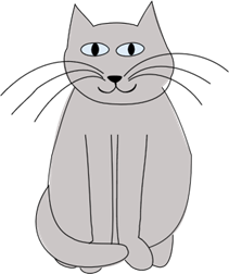 Grey cat