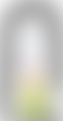 House with a SOLD sign above the front door