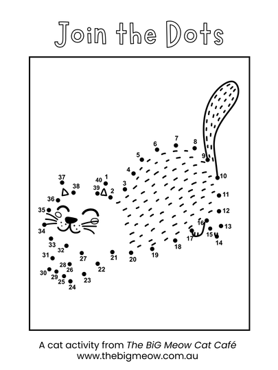 Join the dots cat activity sheet from The BiG Meow Cat Café children’s book
