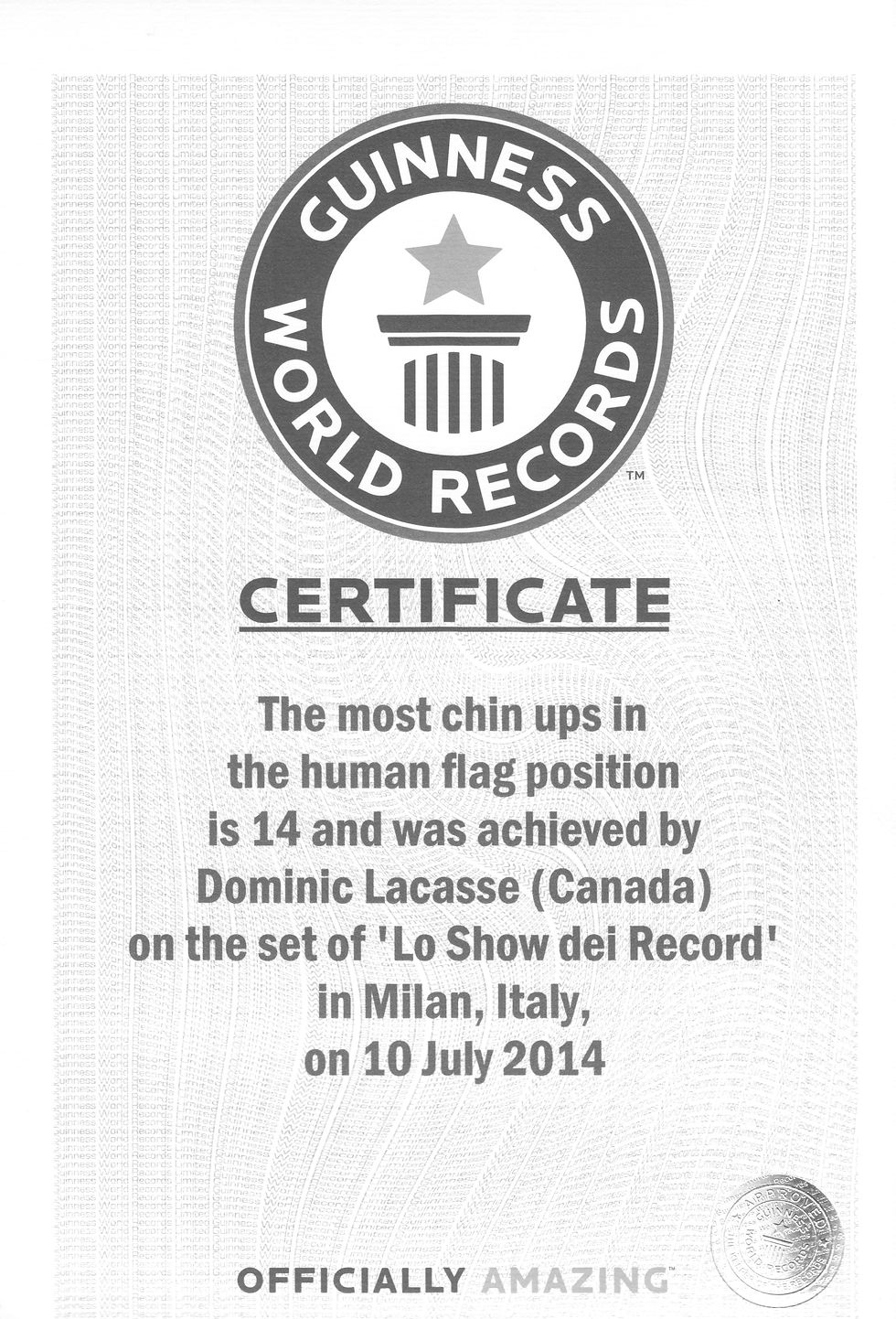 Guinness World Record #2-2014