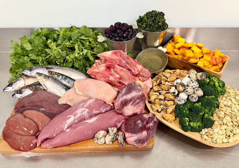 Fresh raw dog food ingredients from Farm N' Sea Pets, including meats, organs, whole fish, seafood, vegetables, herbs, berries and quail eggs.
