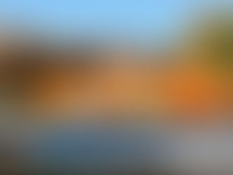 A yellow lab laying on a pile of pumpkins in a truck bed