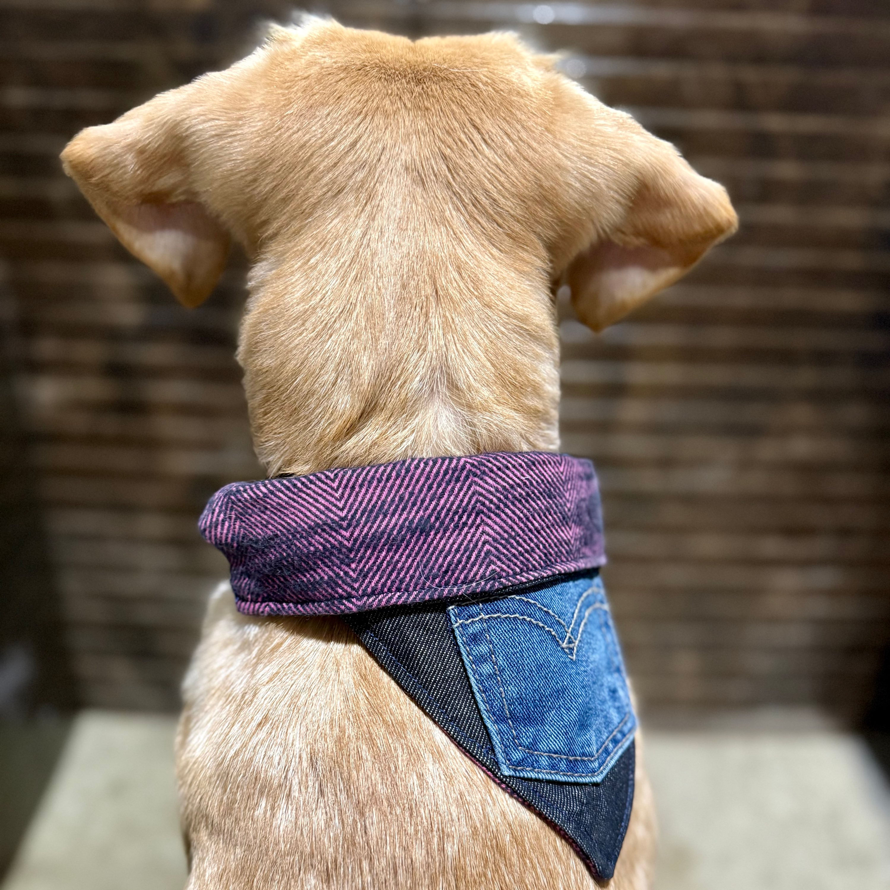 Reversible Rescued Denim & Flannel Bandana - Size 2
