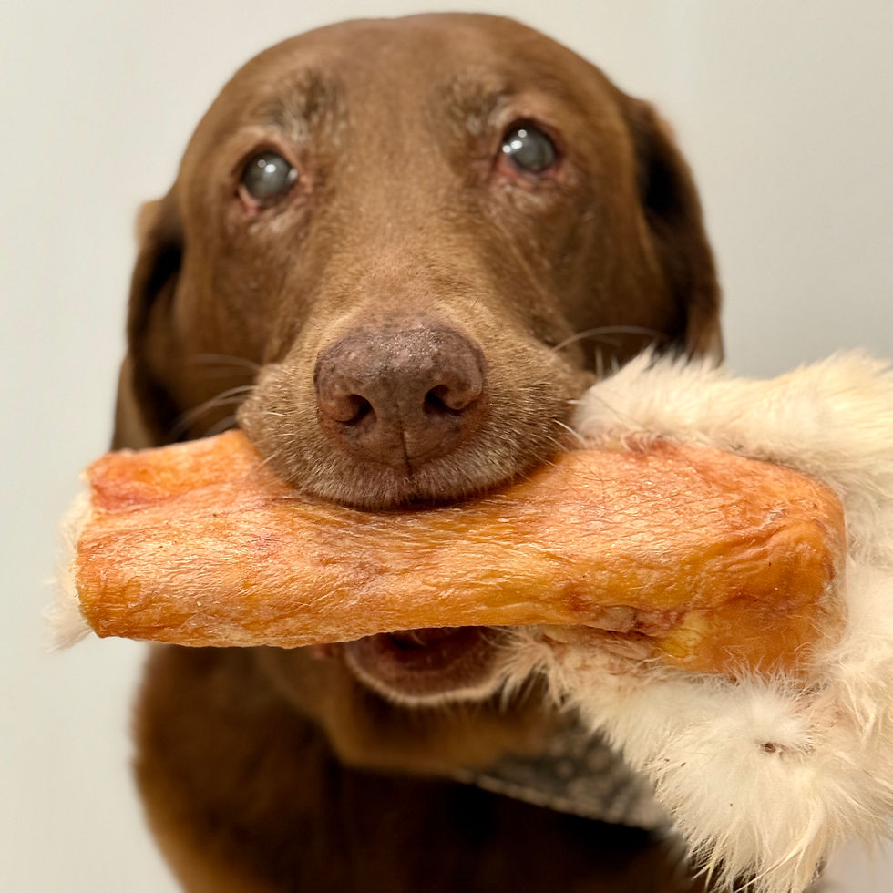 Close-up view of a furry treat to analyze its texture and composition