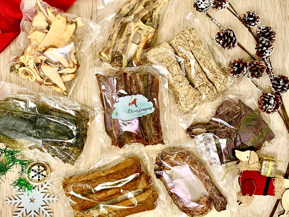 Piggyback 2025 Howliday Collection