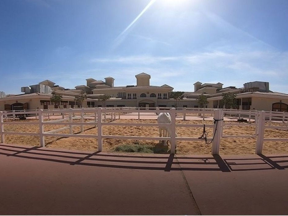 Reitanlage in Dubai mit Pferd auf Paddock