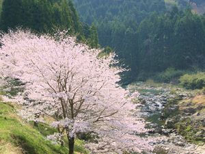 4a8c5aa4d90df399788658524ce5f327