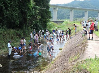 08830b9d230a3d086283b133f8f06399-360x270