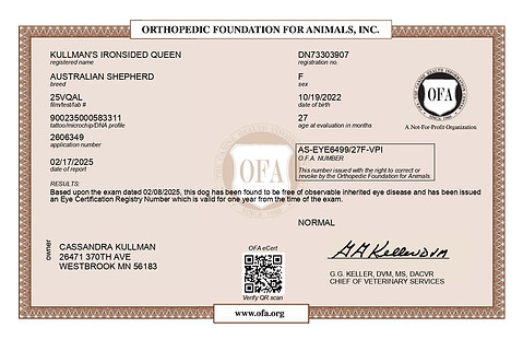 KULLMAN_S IRONSIDED QUEEN EYES 02_08_2025 EYES_page-0001.jpg