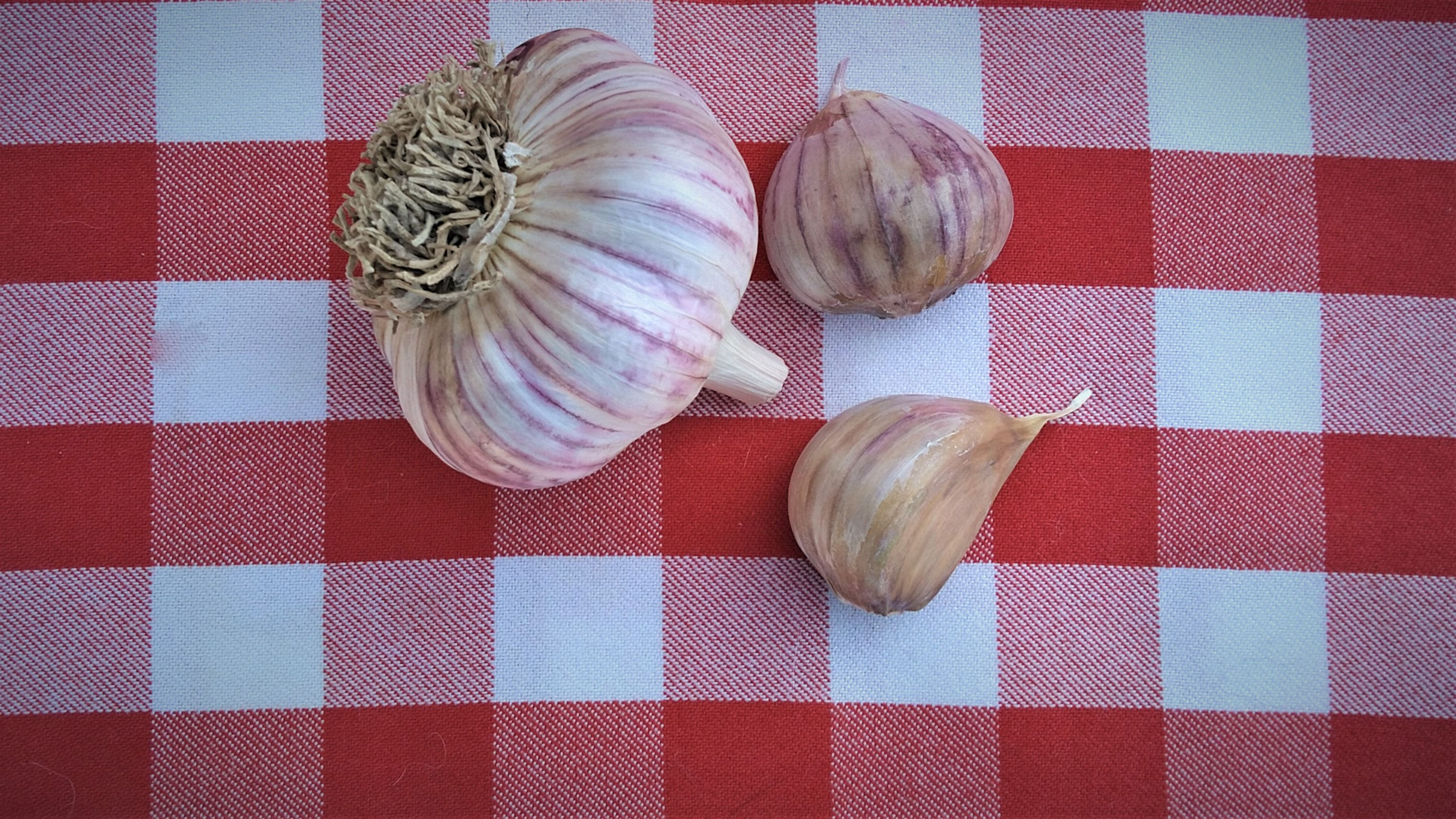 Siberian - Marbled Purple Stripe - Hardneck