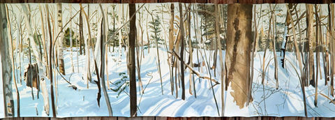Woods in Winter