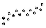 paws 2.jpg