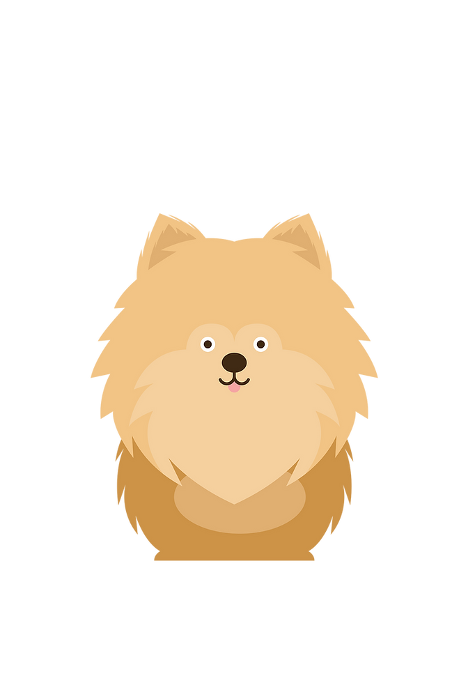 x-small-dog.png