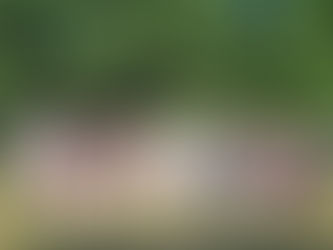 Primer evento de Vinculación de mexicanos profesionales en Dinamarca