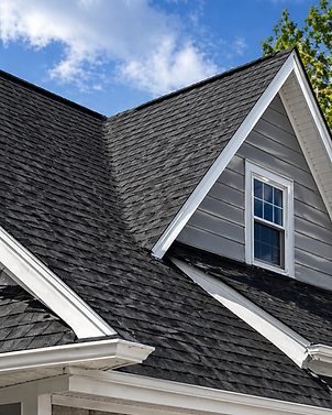 Roofing blurb.png