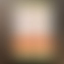 Untold Secrets of Six-Figure Women: What Contributes to Their Financial Success?