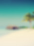 Tropical Paradise