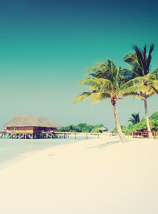 Tropical Paradise