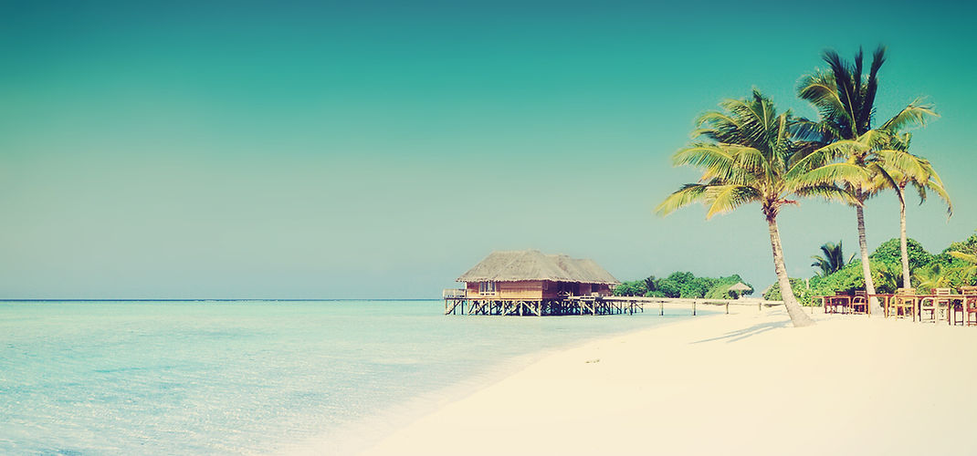 Tropical Paradise